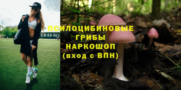 мяу мяу кристалл Покачи