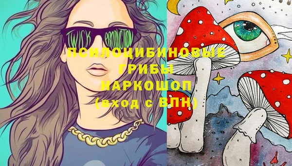 mix Пересвет
