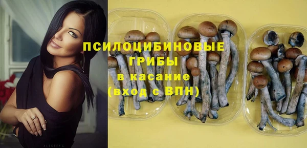 mix Пересвет