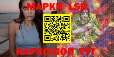 эйфоретик Берёзовский