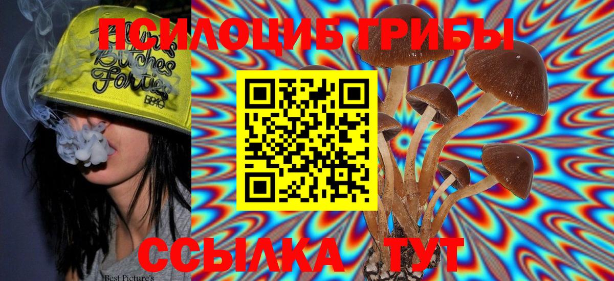 Тобольск  Псилоцибиновые грибы Cubensis  Вход с VPN 