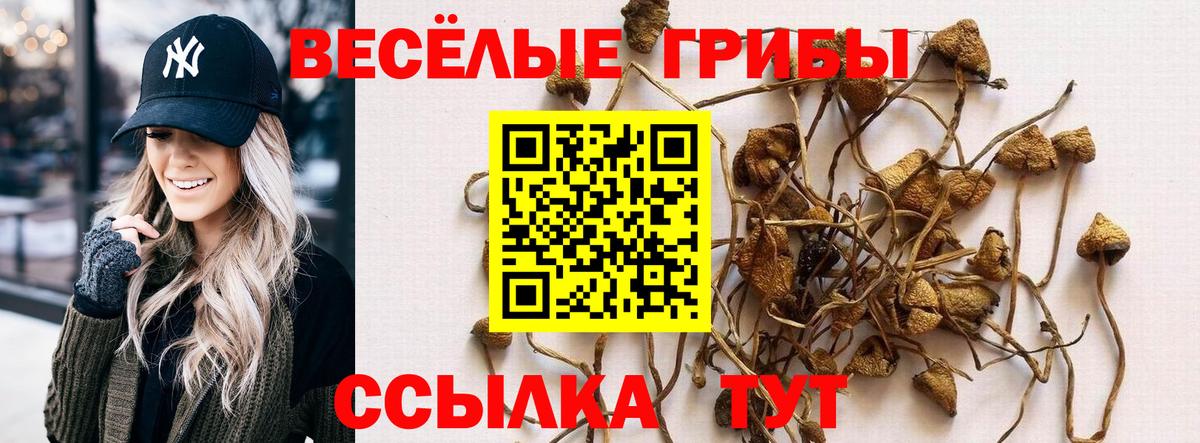 Псилоцибиновые грибы Psilocybine cubensis Тобольск