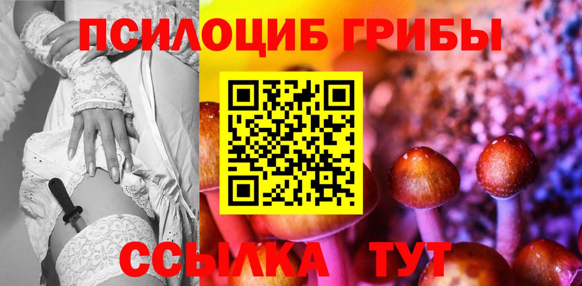 Галлюциногенные грибы Psilocybe  Тобольск 