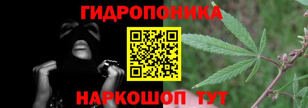Бошки марихуана семена  Бошки марихуана ГИДРОПОН  Бошки марихуана AK-47  Тобольск  Бошки Шишки планчик 
